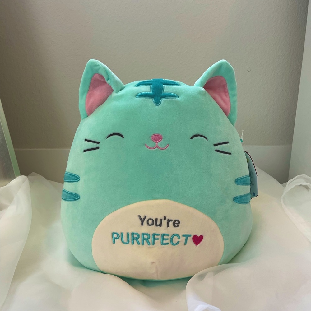 Squishmallow Jules Valentine’s Day cat(12 inches)